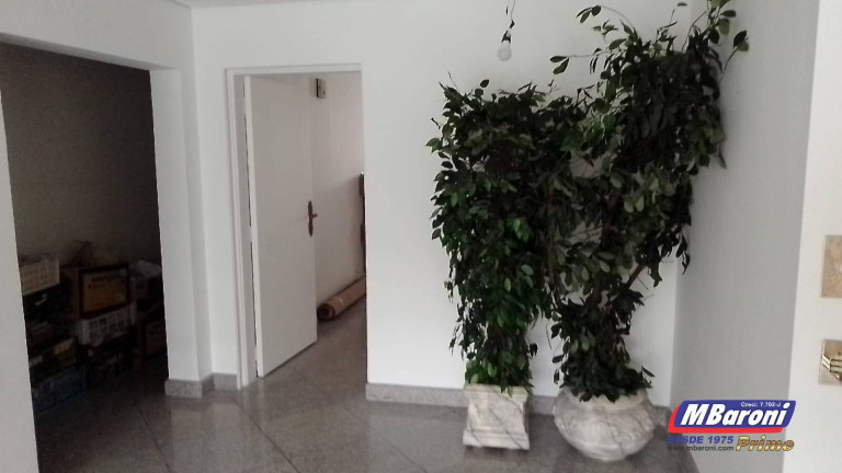 Imagem Apartamento com 3 Quartos à Venda, 145 m² em Paraíso - São Paulo