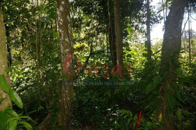 Imagem Terreno à Venda, 3.696 m² em Barranco Alto - Caraguatatuba