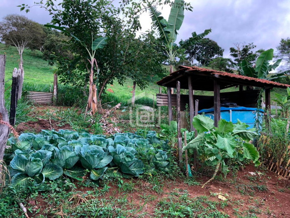 Imagem Imóvel com 2 Quartos à Venda, 1 m² em Correias (rural) - Bandeira Do Sul