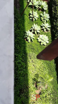 Imagem Apartamento com 2 Quartos à Venda, 50 m² em Jardim Bonfiglioli - São Paulo