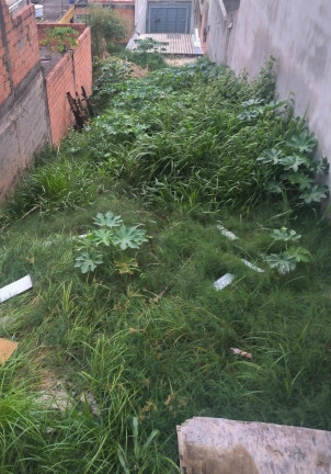 Imagem Terreno à Venda, 125 m² em Serpa - Caieiras Imagem Terreno à Venda, 125 m² em Serpa - Caieiras