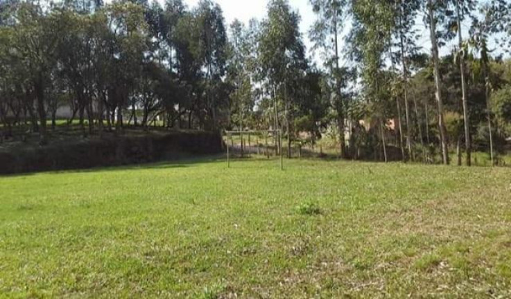 Imagem Chácara à Venda, 8.291 m² em Rio Da Várzea - Quitandinha Imagem Chácara à Venda, 8.291 m² em Rio Da Várzea - Quitandinha