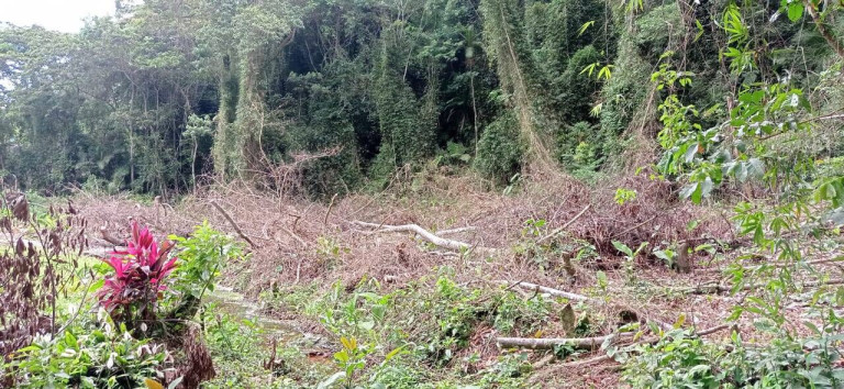 Imagem Terreno em Condomínio à Venda, 484 m² em Massaguaçu - Caraguatatuba