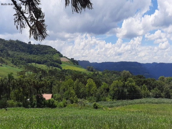 Imagem Imóvel com 3 Quartos à Venda, 142 m² em Linha Brasil - Nova Petrópolis Imagem Imóvel com 3 Quartos à Venda, 142 m² em Linha Brasil - Nova Petrópolis