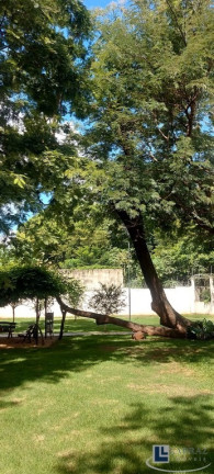 Imagem Imóvel com 2 Quartos à Venda, 43 m² em Lagoinha - Ribeirão Preto