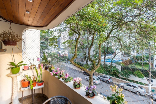 Imagem Imóvel com 4 Quartos à Venda, 185 m² em Moema - São Paulo Imagem Imóvel com 4 Quartos à Venda, 185 m² em Moema - São Paulo