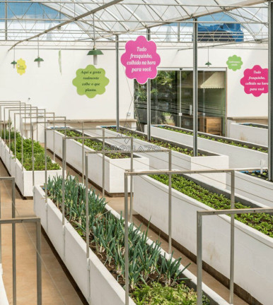 Imagem Terreno à Venda, 450 m² em Centro - águas De Santa Bárbara Imagem Terreno à Venda, 450 m² em Centro - águas De Santa Bárbara