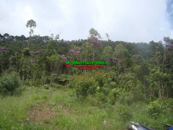 Imagem Chácara à Venda, 200 m² em São Francisco Xavier - São José Dos Campos Imagem Chácara à Venda, 200 m² em São Francisco Xavier - São José Dos Campos