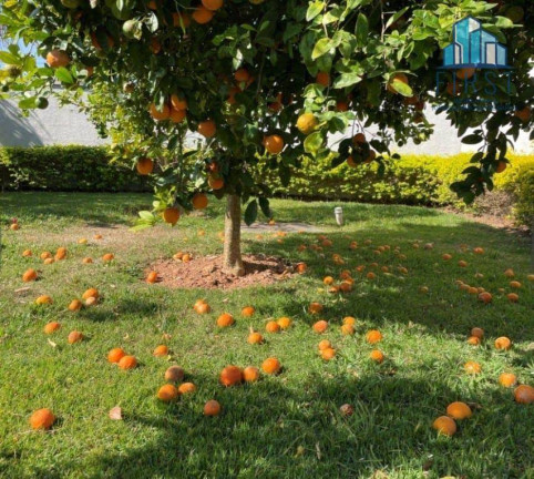 Imagem Casa com 3 Quartos à Venda, 580 m² em Parque Da Fazenda - Itatiba