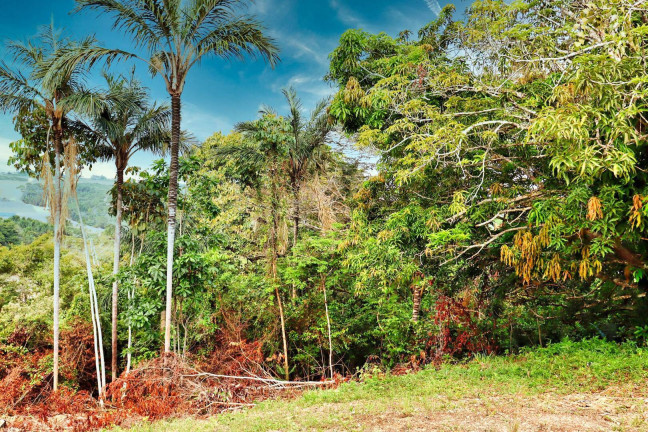 Imagem Terreno à Venda, 48 m² em Flores - Manaus Imagem Terreno à Venda, 48 m² em Flores - Manaus