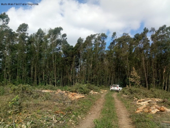 Imagem Terreno à Venda, 4 m² em Pinhal Alto - Nova Petrópolis Imagem Terreno à Venda, 4 m² em Pinhal Alto - Nova Petrópolis