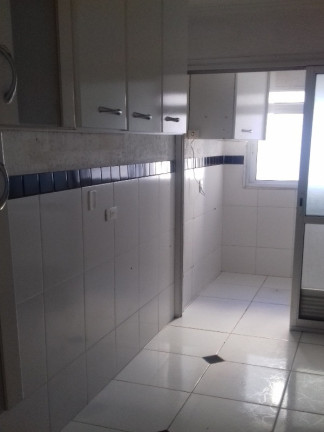 Imagem Apartamento com 3 Quartos à Venda, 65 m² em Jardim íris - São Paulo