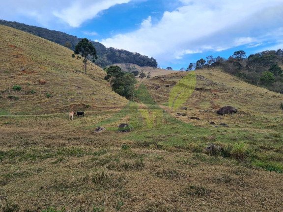 Imagem Chácara com 2 Quartos à Venda, 750.200 m² em Piracaia - Piracaia Imagem Chácara com 2 Quartos à Venda, 750.200 m² em Piracaia - Piracaia