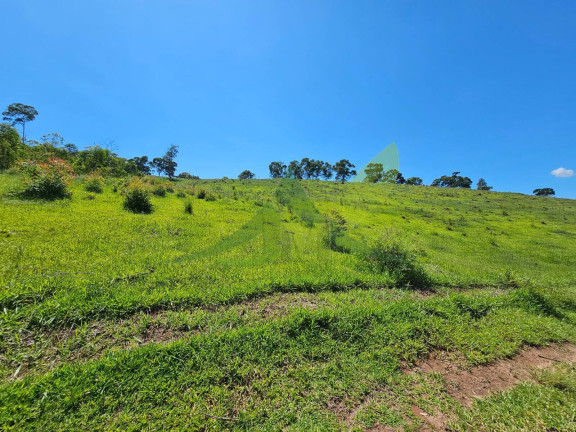 Imagem Chácara com 2 Quartos à Venda, 532.400 m² em Batatuba - Piracaia Imagem Chácara com 2 Quartos à Venda, 532.400 m² em Batatuba - Piracaia