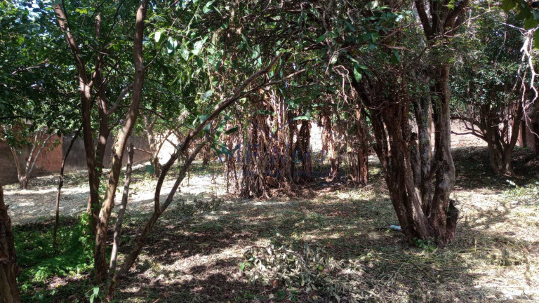 Imagem Terreno à Venda, 416 m² em Centro - Pirassununga Imagem Terreno à Venda, 416 m² em Centro - Pirassununga