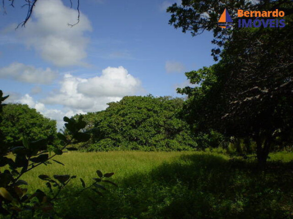 Imagem Chácara à Venda, 139 m² em Sitio Prata - Cascavel Imagem Chácara à Venda, 139 m² em Sitio Prata - Cascavel