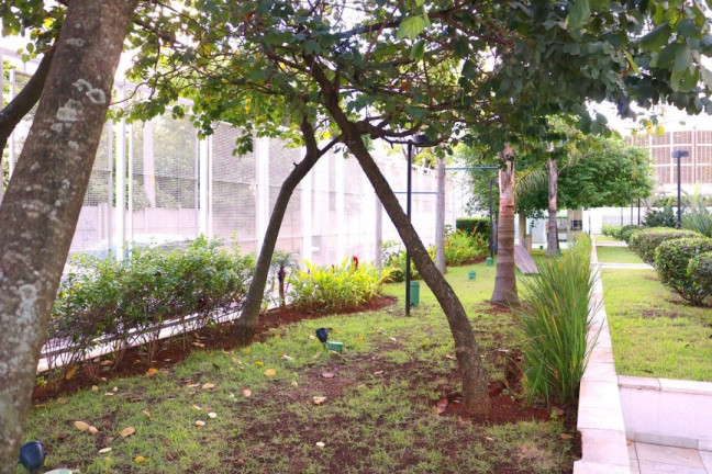 Imagem Apartamento com 1 Quarto à Venda, 45 m² em Cidade Nova Heliópolis - São Paulo Imagem Apartamento com 1 Quarto à Venda, 45 m² em Cidade Nova Heliópolis - São Paulo