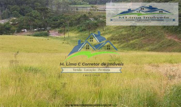 Terreno à Venda, 45.300 m² em Jardim Lucia 1 - Mairiporã