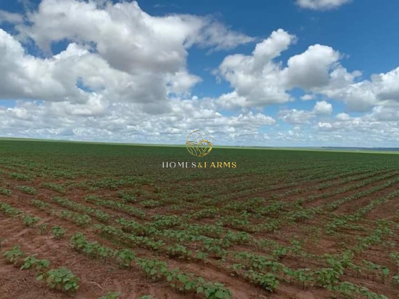 Imagem Imóvel com 3 Quartos à Venda, 16.943 m² em Zona Rural - Primavera Do Leste Imagem Imóvel com 3 Quartos à Venda, 16.943 m² em Zona Rural - Primavera Do Leste