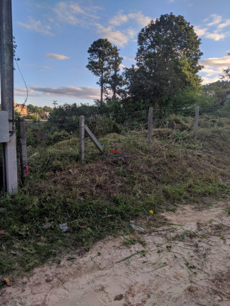 Imagem Terreno à Venda, 1.009 m² em São João Do Rio Vermelho - Florianópolis Imagem Terreno à Venda, 1.009 m² em São João Do Rio Vermelho - Florianópolis
