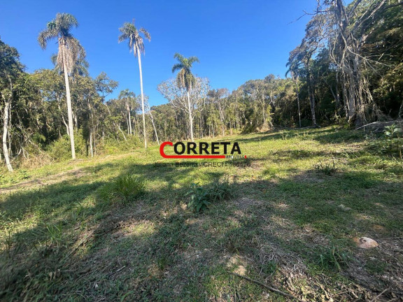 Terreno à Venda, 48.000 m² em Campo Verde - Ibiúna