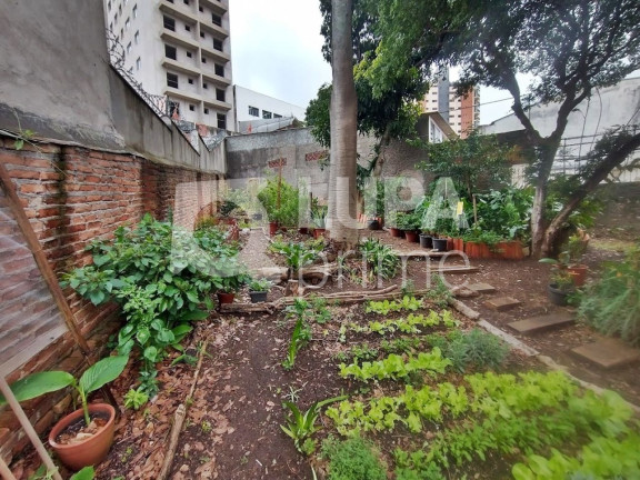 Imagem Terreno à Venda, 110 m² em Vila Maria Alta - São Paulo Imagem Terreno à Venda, 110 m² em Vila Maria Alta - São Paulo