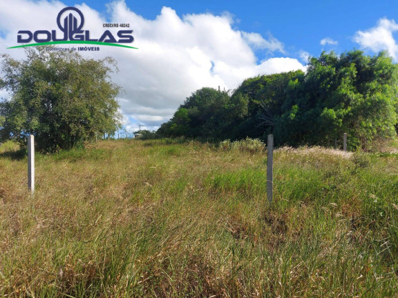 Imagem Terreno à Venda, 1.000 m² em Viamão Imagem Terreno à Venda, 1.000 m² em Viamão