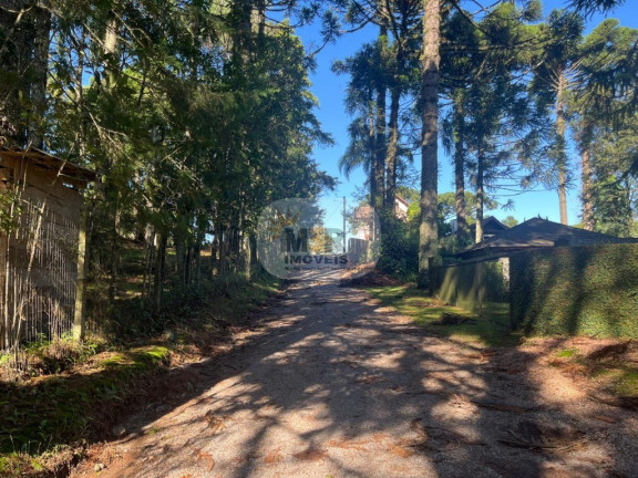 Imagem Terreno à Venda, 5.633 m² em Pousada Da Neve - Nova Petrópolis