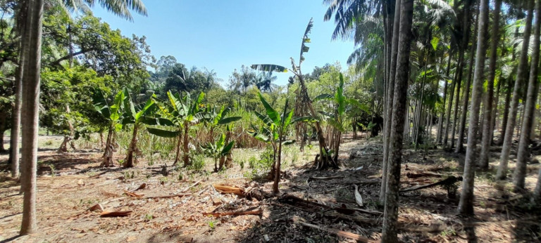 Imagem Chácara com 3 Quartos à Venda, 100 m² em Bom Retiro - São José Dos Campos Imagem Chácara com 3 Quartos à Venda, 100 m² em Bom Retiro - São José Dos Campos