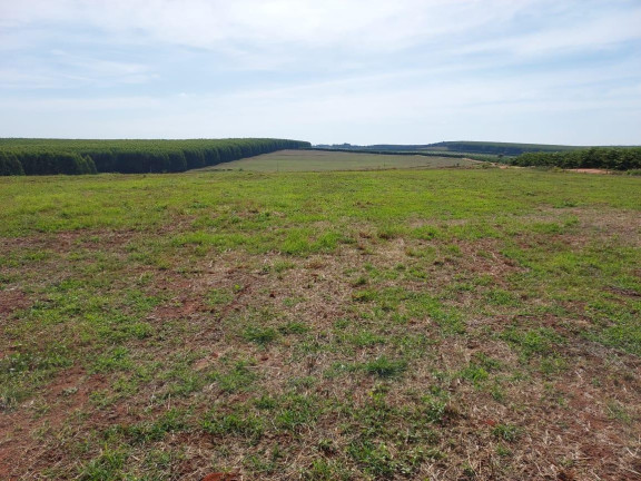 Imagem Fazenda à Venda, 171 m² em Rural - Cabrália Paulista Imagem Fazenda à Venda, 171 m² em Rural - Cabrália Paulista