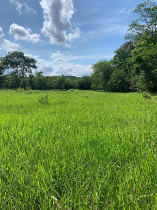 Imagem Fazenda à Venda, 22 m² em Zona Rural - Palmeiras De Goiás Imagem Fazenda à Venda, 22 m² em Zona Rural - Palmeiras De Goiás