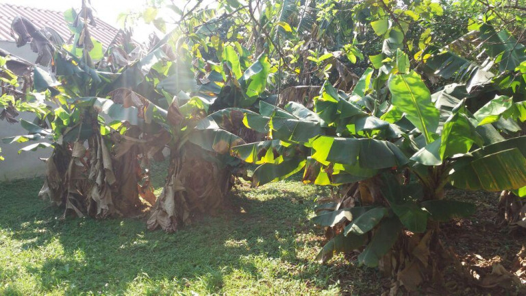 Imagem Terreno à Venda, em Arroio Da Manteiga - São Leopoldo Imagem Terreno à Venda, em Arroio Da Manteiga - São Leopoldo
