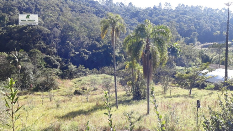Imagem Terreno à Venda, 1.400 m² em Caete (mailasqui) - São Roque Imagem Terreno à Venda, 1.400 m² em Caete (mailasqui) - São Roque