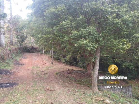 Imagem Chácara com 2 Quartos à Venda, 60 m² em Terra Preta - Mairiporã Imagem Chácara com 2 Quartos à Venda, 60 m² em Terra Preta - Mairiporã