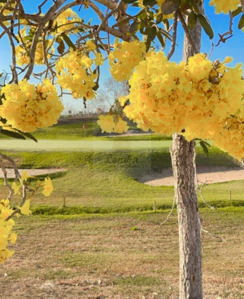 Imagem Terreno à Venda, 1.125 m² em área Rural De Cuiabá - Cuiabá Imagem Terreno à Venda, 1.125 m² em área Rural De Cuiabá - Cuiabá
