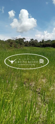 Chácara à Venda, 7 m² em Zona Rural - Bom Jardim De Goiás