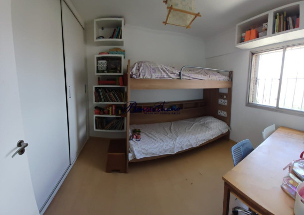 Imagem Apartamento com 2 Quartos à Venda, 65 m² em Vila Paulicéia - Sao Paulo Imagem Apartamento com 2 Quartos à Venda, 65 m² em Vila Paulicéia - Sao Paulo