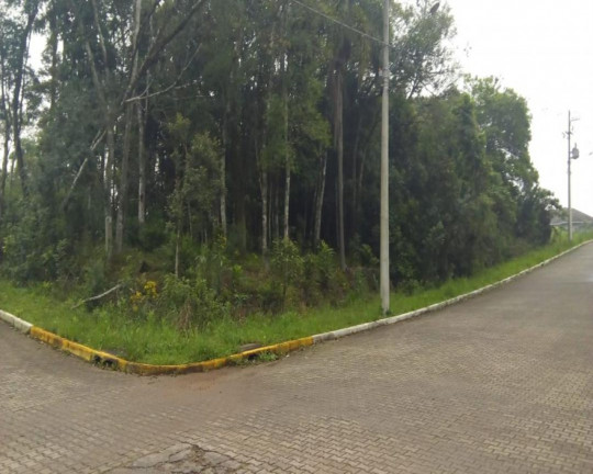 Imagem Imóvel à Venda, 515 m² em Juriti - Nova Petrópolis