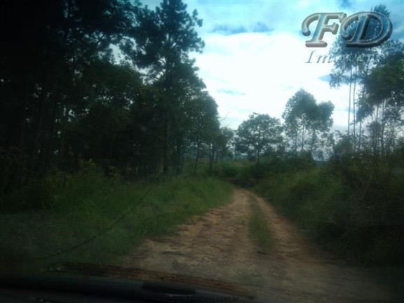 Imagem Terreno à Venda, 1 m² em Jardim Lucia 2 - Mairiporã Imagem Terreno à Venda, 1 m² em Jardim Lucia 2 - Mairiporã