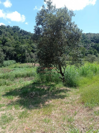 Imagem Chácara com 2 Quartos à Venda, 192 m² em Dona Catarina - Mairinque