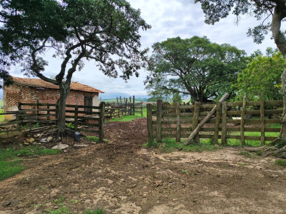 Imagem Imóvel com 2 Quartos à Venda, 338.800 m² em Centro - Itapetininga Imagem Imóvel com 2 Quartos à Venda, 338.800 m² em Centro - Itapetininga