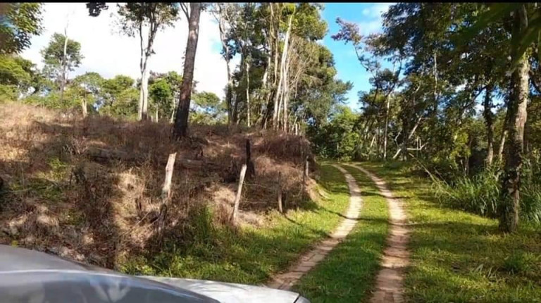 Imagem Chácara com 2 Quartos à Venda, 116 m² em Conselheiro Paulino - Nova Friburgo