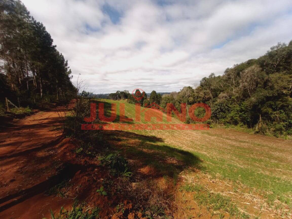 Imagem Terreno à Venda, 32.032 m² em Mato Preto - São Bento Do Sul Imagem Terreno à Venda, 32.032 m² em Mato Preto - São Bento Do Sul