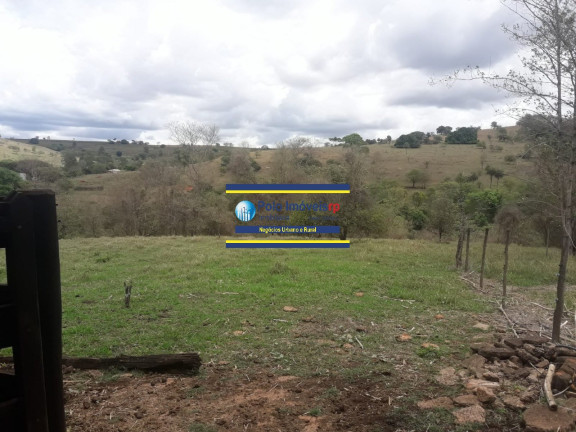 Imagem Imóvel com 4 Quartos à Venda, 7 m² em Rural - São Tomás De Aquino Imagem Imóvel com 4 Quartos à Venda, 7 m² em Rural - São Tomás De Aquino