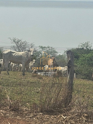 Imagem Fazenda à Venda, 70 m² em área Rural 2 - Monte Aprazível Imagem Fazenda à Venda, 70 m² em área Rural 2 - Monte Aprazível