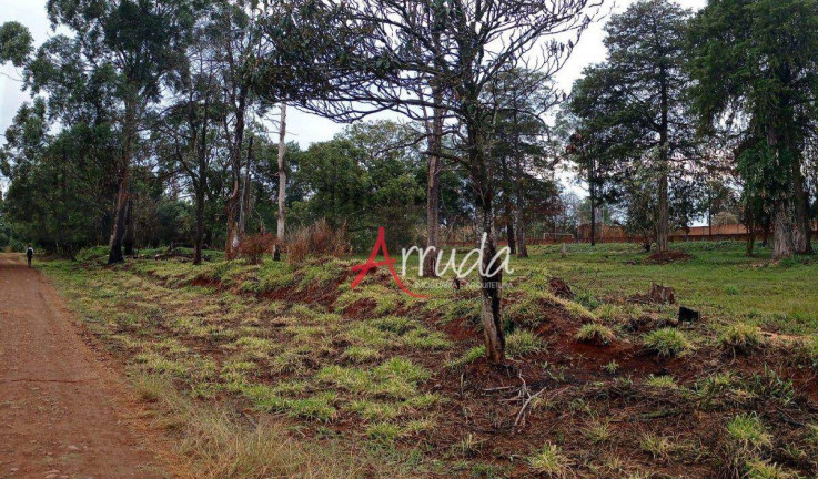 Imagem Terreno à Venda, 3.000 m² em Lago Azul - Cascavel Imagem Terreno à Venda, 3.000 m² em Lago Azul - Cascavel