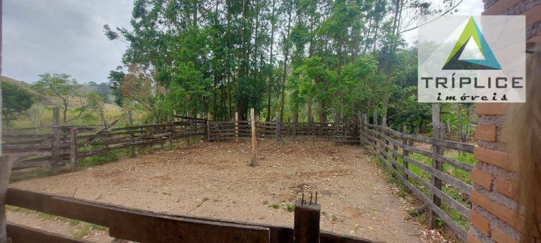 Imagem Fazenda à Venda, 1.910.000 m² em Rural - Lima Duarte Imagem Fazenda à Venda, 1.910.000 m² em Rural - Lima Duarte
