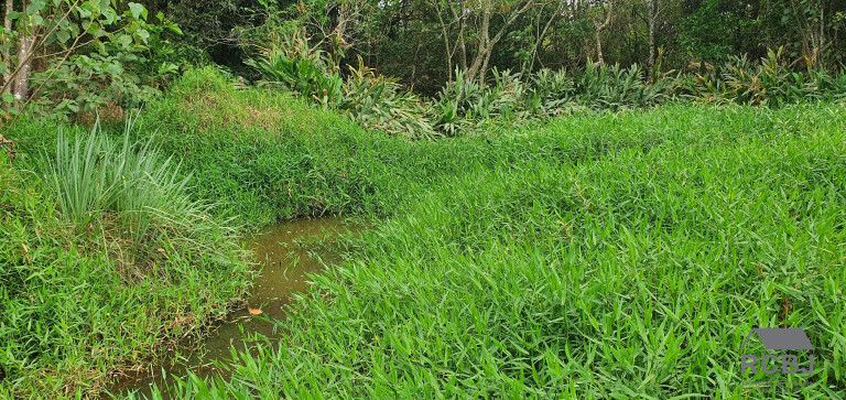 Imagem Terreno à Venda, 1.533 m² em Andiroba - Esmeraldas