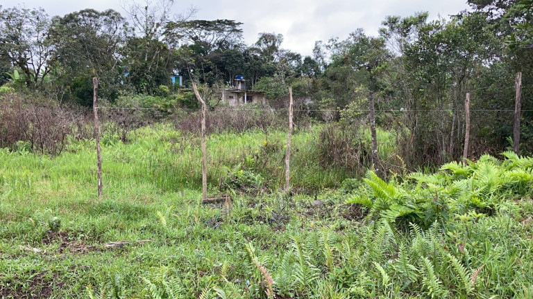 Imagem Terreno à Venda, 300 m² em Area Não Loteada - Itanhaém