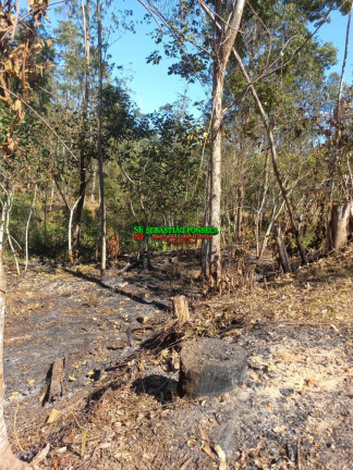 Imagem Chácara à Venda, 20.000 m² em Centro - Monteiro Lobato Imagem Chácara à Venda, 20.000 m² em Centro - Monteiro Lobato
